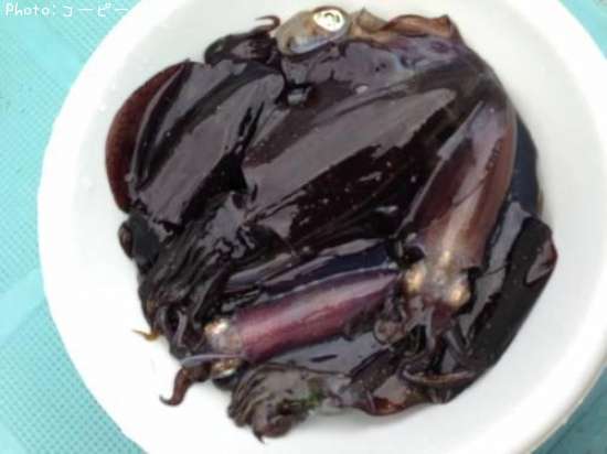 �����ꥤ��