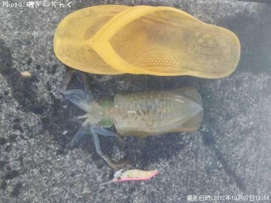 �����ꥤ��