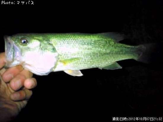 �֥�å��Х�