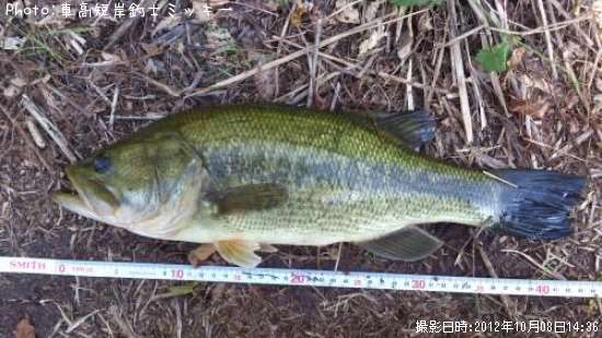 �֥�å��Х�