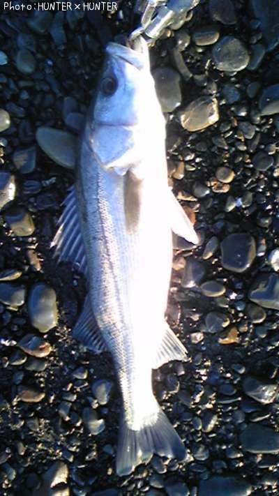 �����Х�