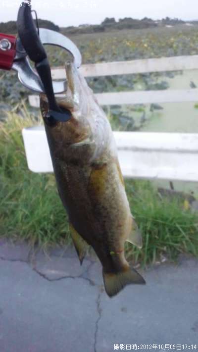 �֥�å��Х�