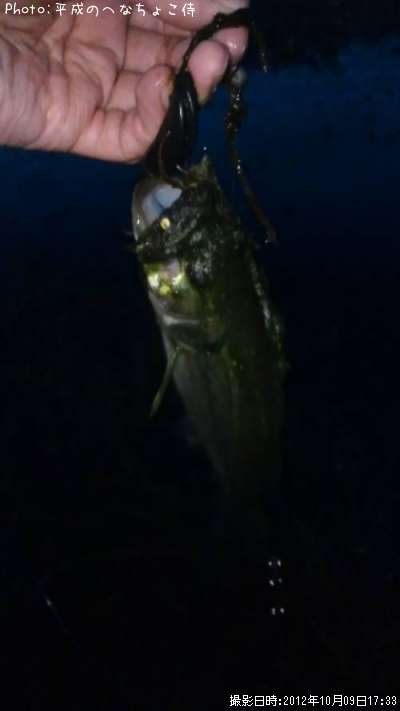 �֥�å��Х�