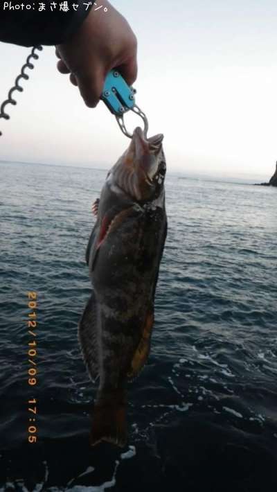 �����ʥ�