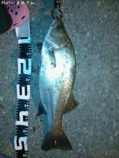 �����Х�