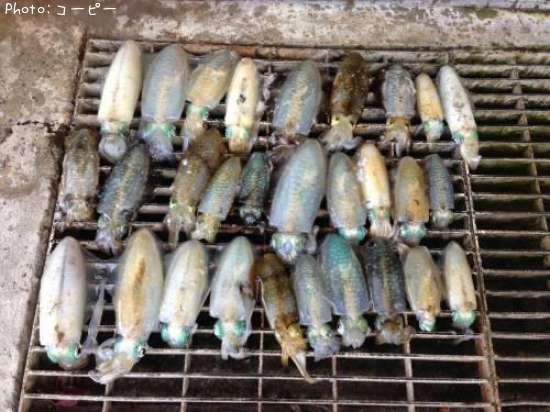 �����ꥤ��