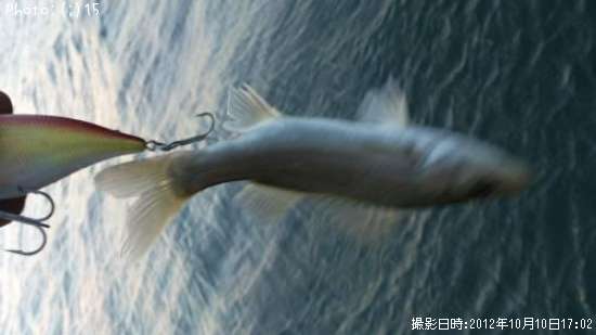 �����Х�