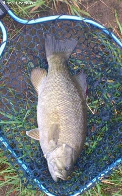 ���⡼��ޥ����Х�