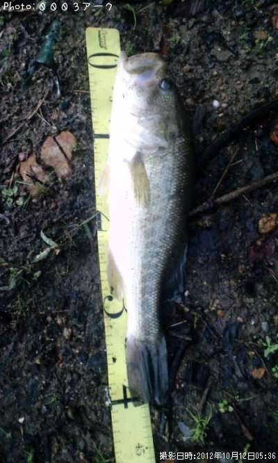 �֥�å��Х�