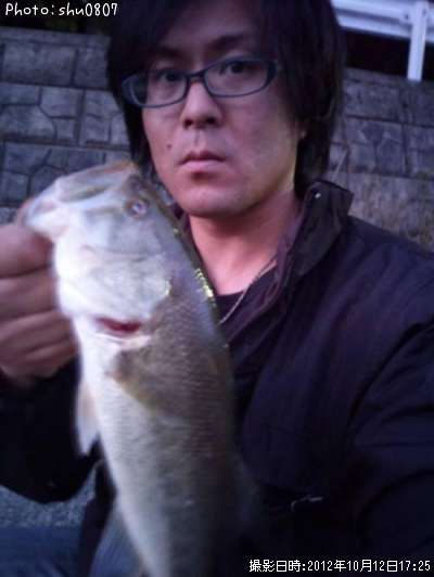 �֥�å��Х�