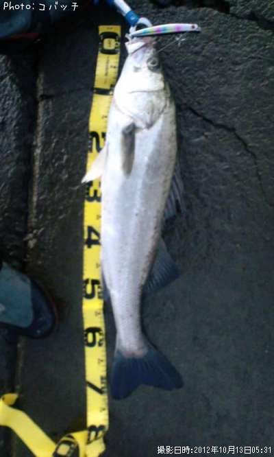 �����Х�