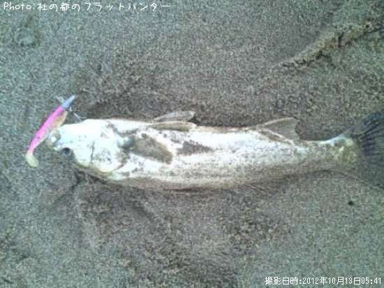 �����Х�