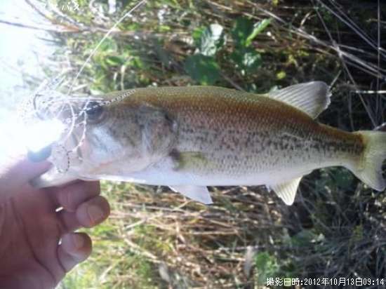 �֥�å��Х�