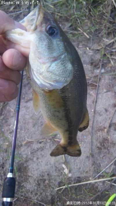 �֥�å��Х�