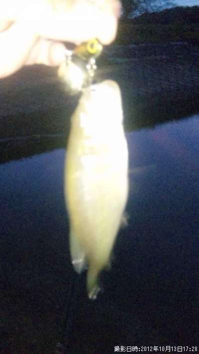 �֥�å��Х�