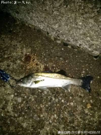 �����Х�