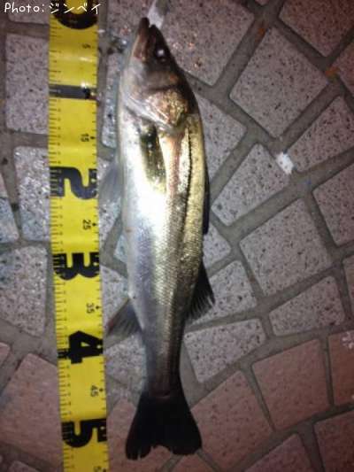 �����Х�