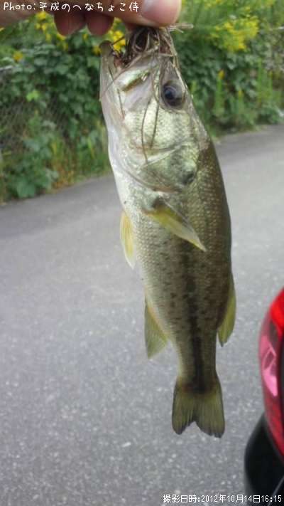 �֥�å��Х�