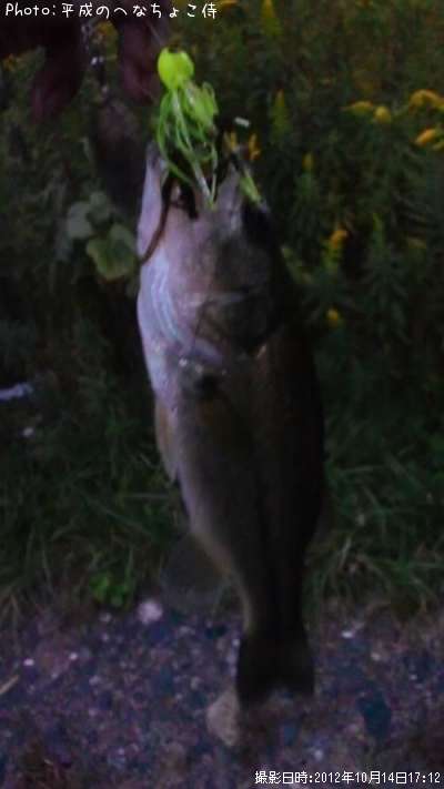 �֥�å��Х�