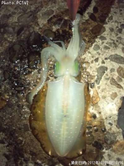 �����ꥤ��