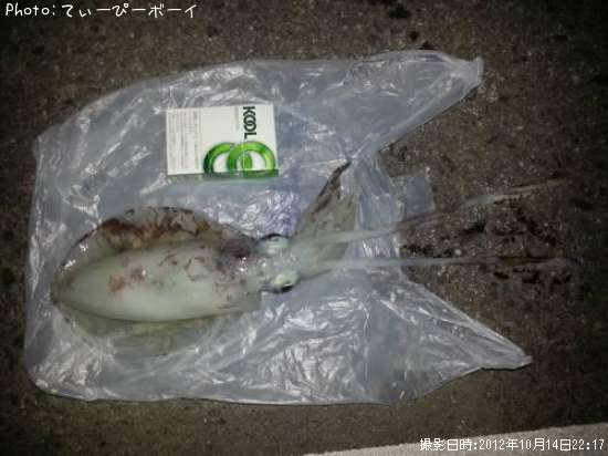 �����ꥤ��