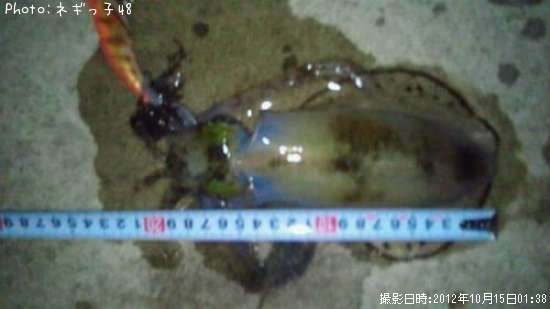 �����ꥤ��