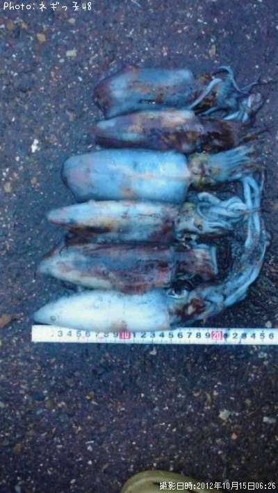 �����ꥤ��