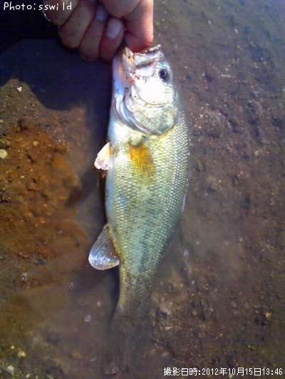 �֥�å��Х�