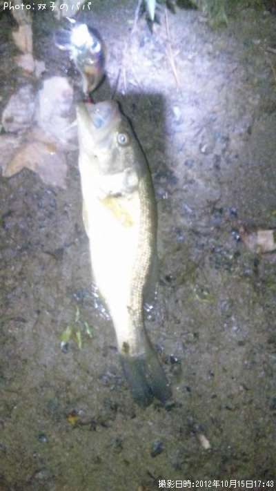 �֥�å��Х�