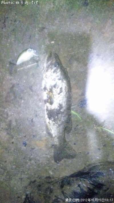 �֥�å��Х�