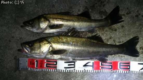 �����Х�