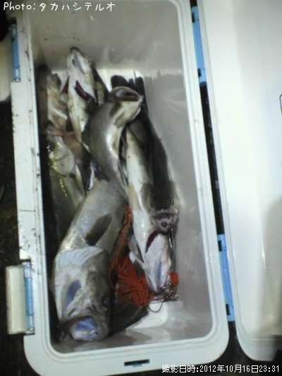 �����Х�