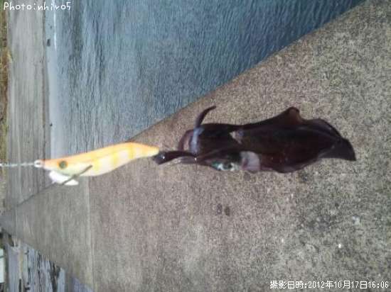 �����ꥤ��