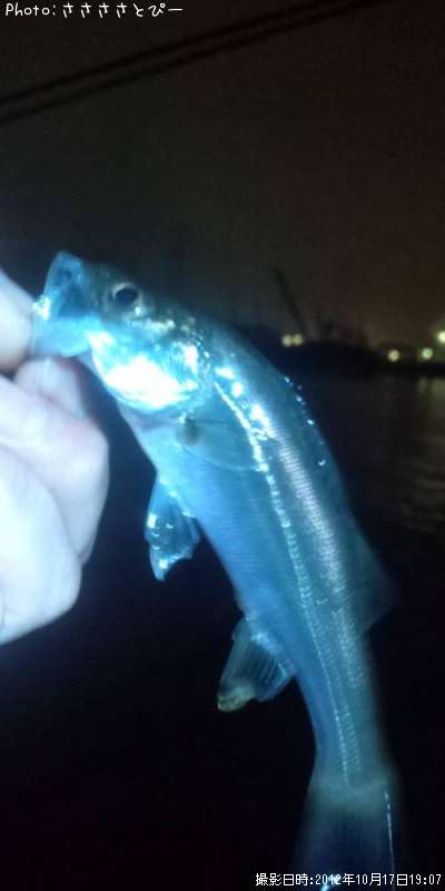 �����Х�