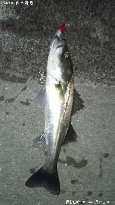 �����Х�