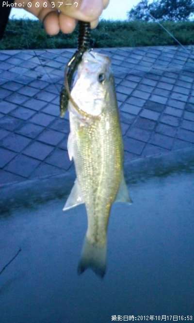 �֥�å��Х�