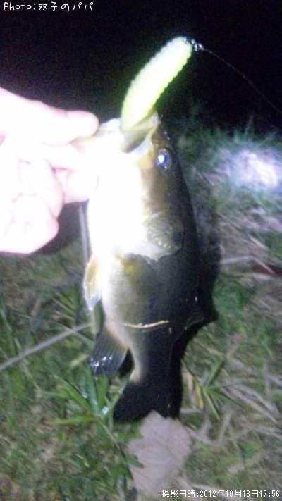 �֥�å��Х�