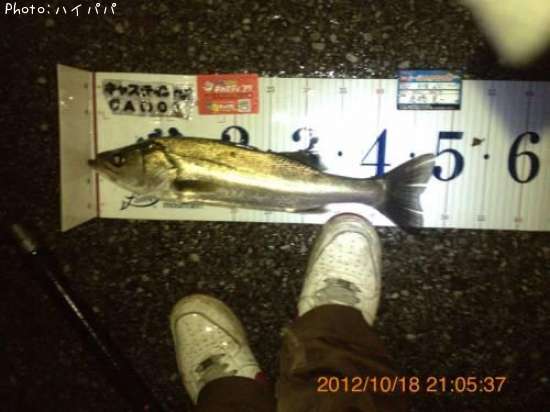 �����Х�