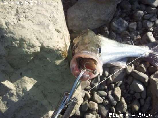 �����Х�