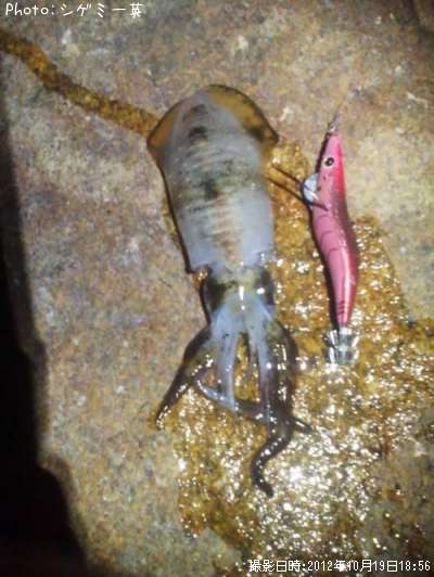 �����ꥤ��