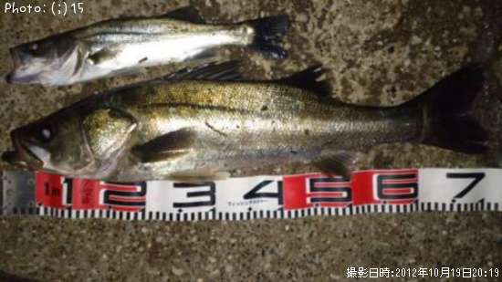 �����Х�