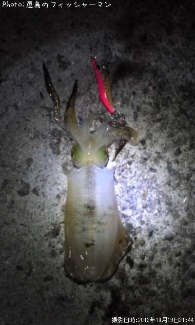 �����ꥤ��