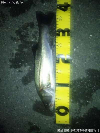 �����Х�