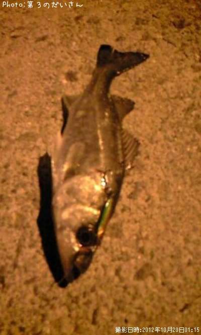 �����Х�