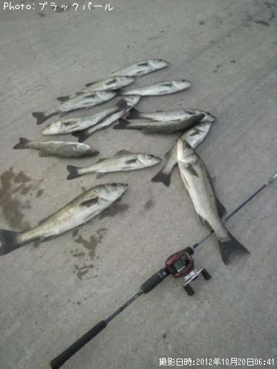 �����Х�