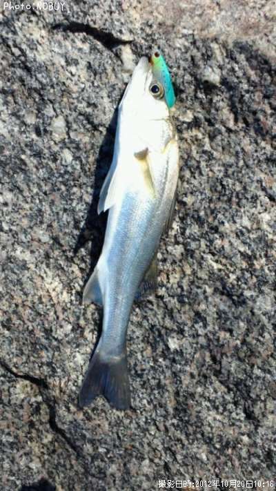 �����Х�