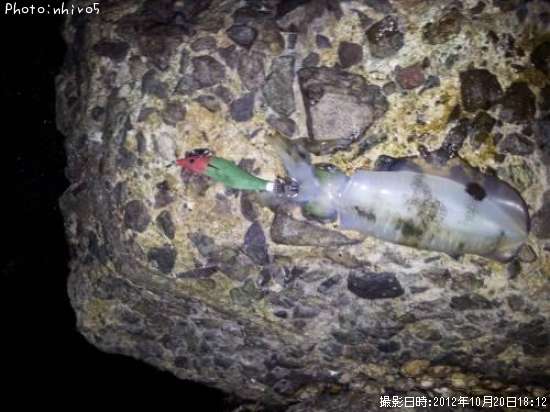 �����ꥤ��