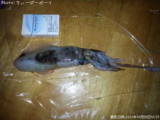 �����ꥤ��