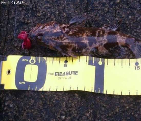 �����Υ���Х�