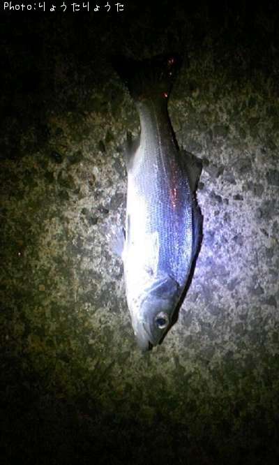 �����Х�